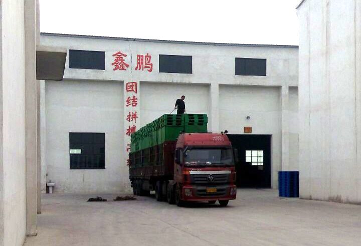 啤酒厂专用塑料托盘装车发走