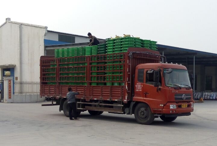 塑料垃圾桶装车发走